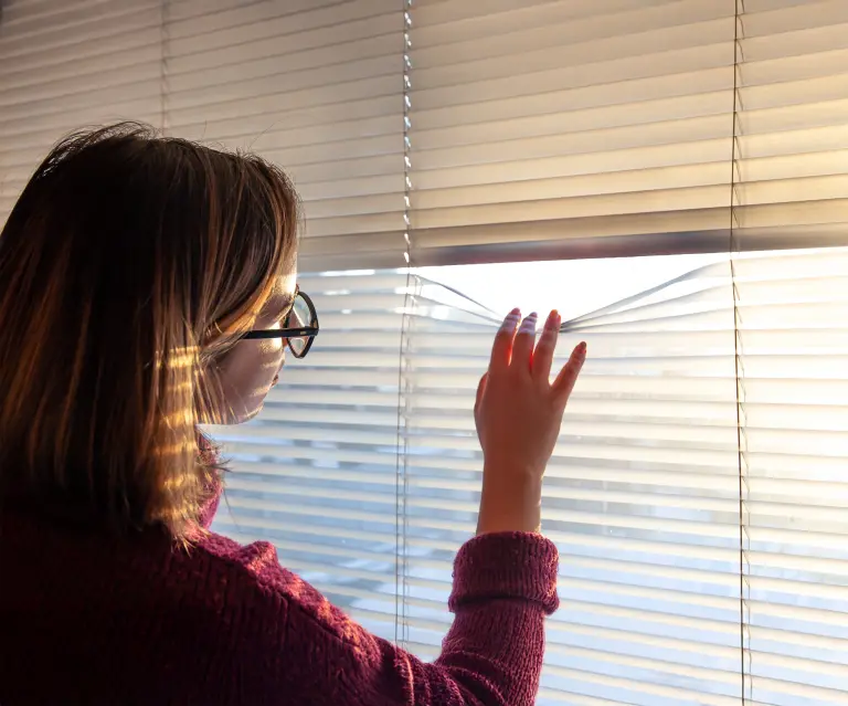 Roman Shades in reading nooks